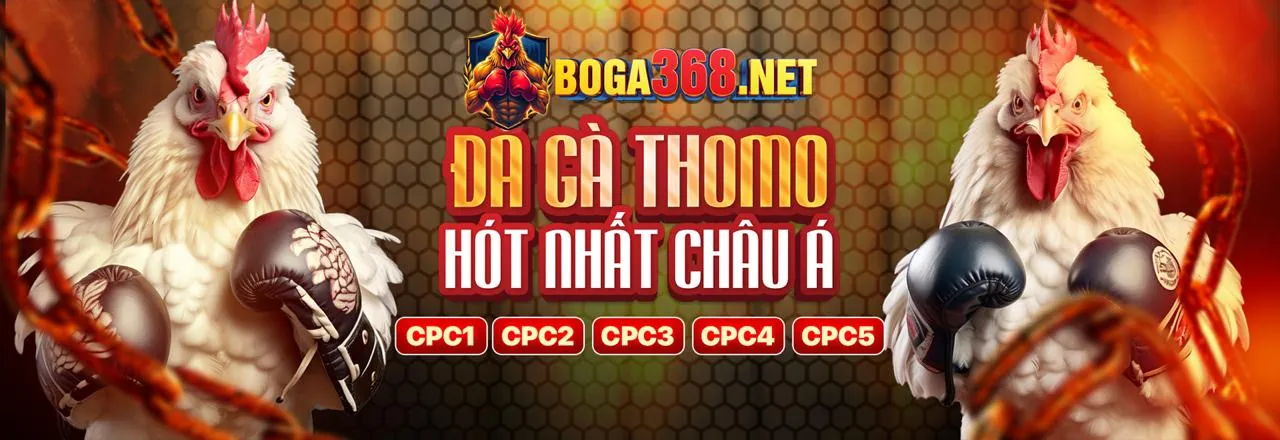 Chương trình Đối tác gamang88